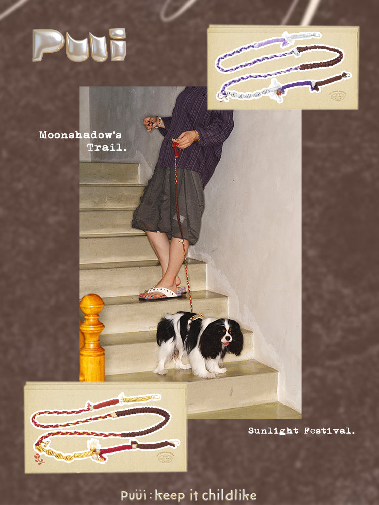Puui. Gold & Silver Series Dog Leash