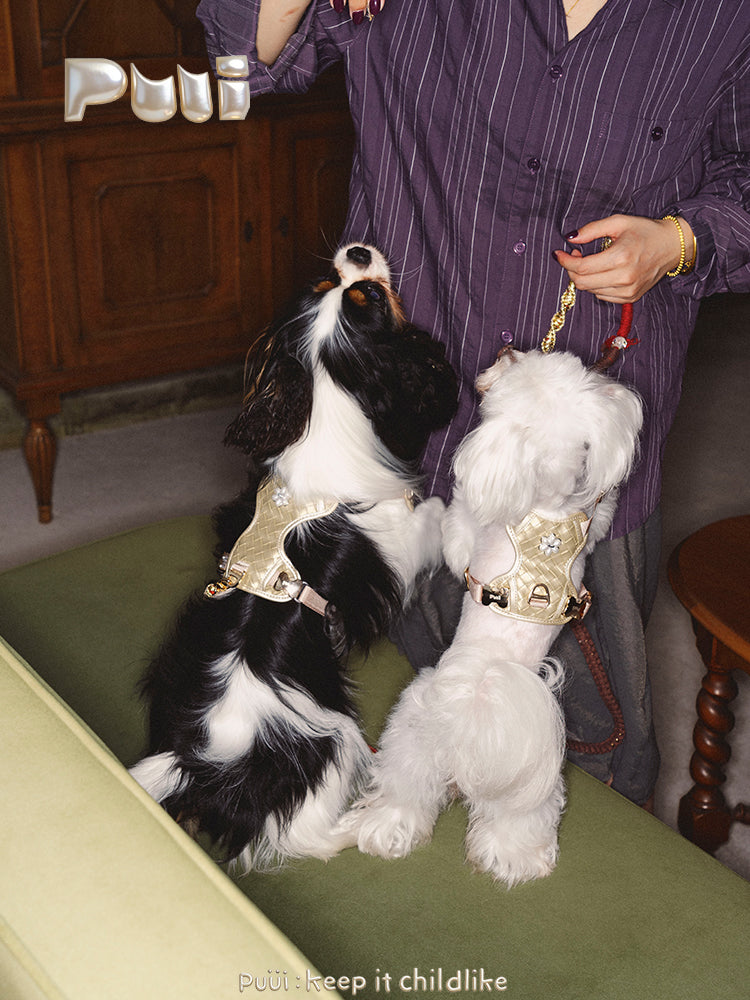 Puui. Sparkle Series Pet Harness