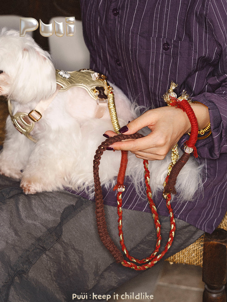 Puui. Gold & Silver Series Dog Leash