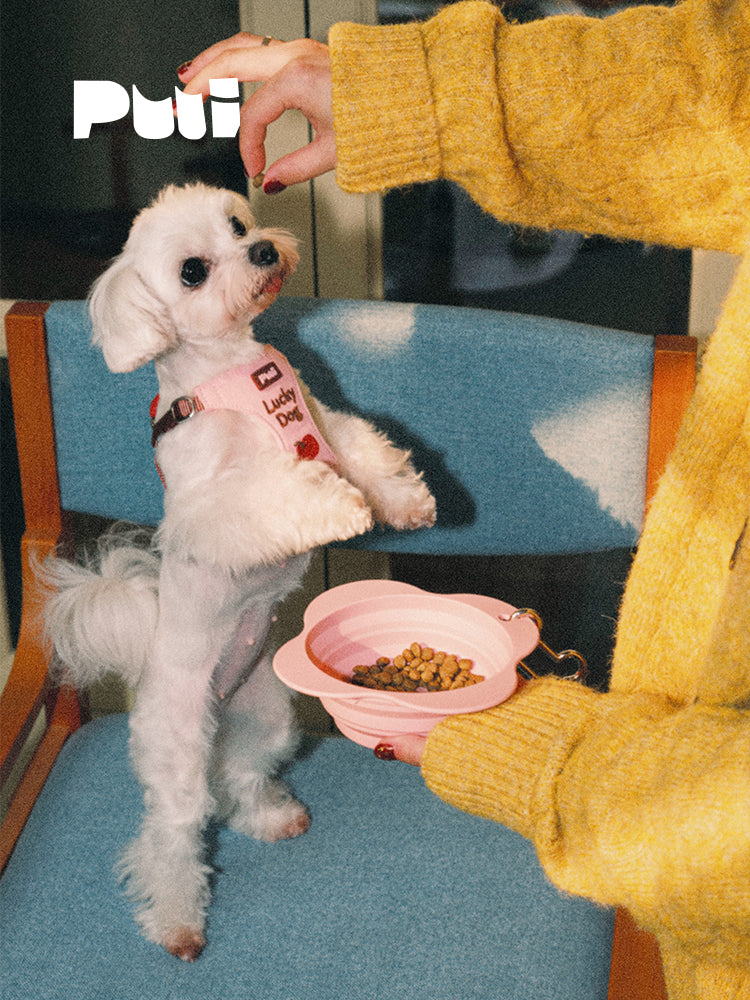 Puui. Bloom Series Pet Collapsible Bowl