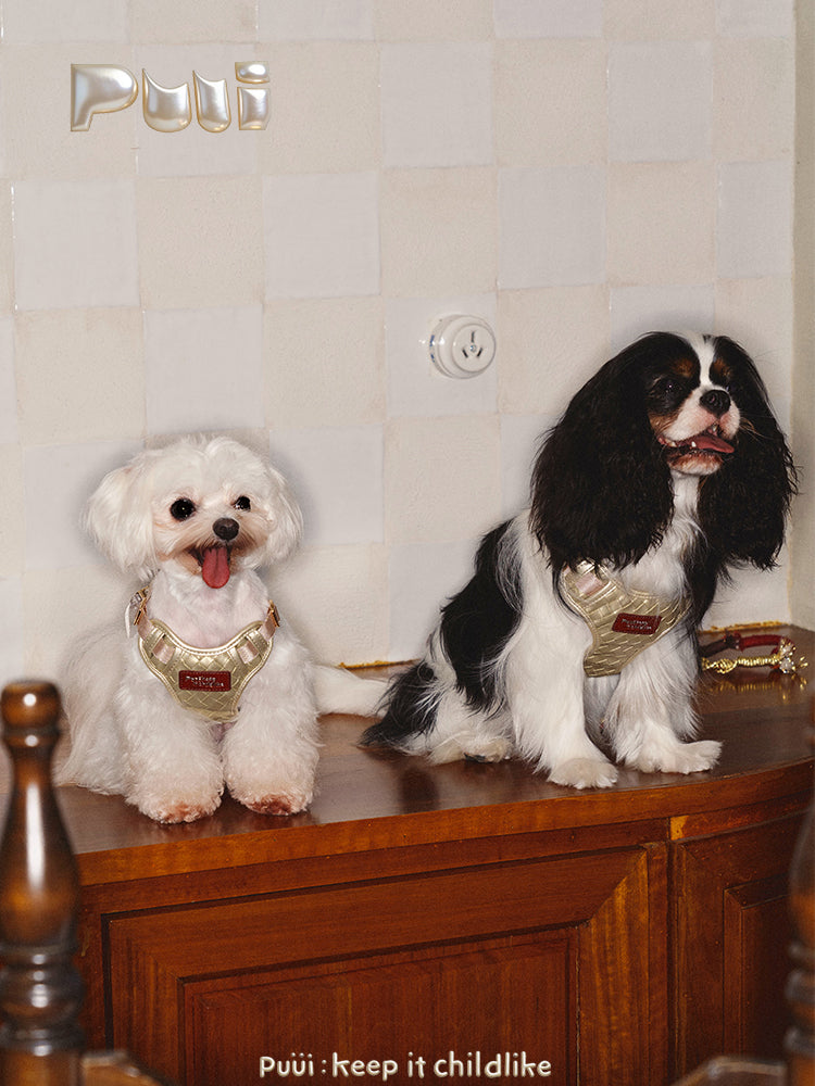 Puui. Sparkle Series Pet Harness