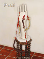 Puui. Gold & Silver Series Dog Leash